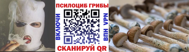 наркошоп  ссылка на мегу онион  Галлюциногенные грибы мухоморы  Туапсе 